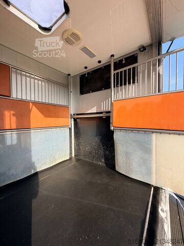 Перевозка лошадей Renault Master Renault Master Sodiak 2 paards / 3 pony's