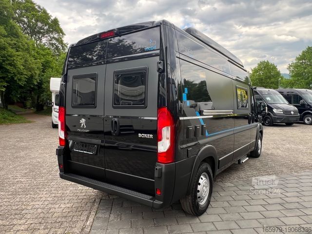 Kastenwagen Wohnmobil / Campervan  BRAVIA