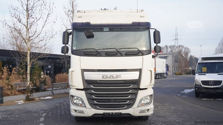 Contenedor DAF XF 410 EURO 6 /410 HP / 20 EPAL / lift
