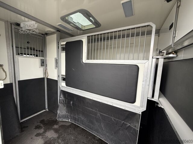 Lószállítás Renault Master PAARDENWAGEN | HORSETRUCK | STX | STALLI...