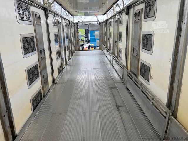 Szarvasmarha-szállítás CUPPERS LV0 12-27 ASL Livestock veewagen 1/2/3/4 Type2