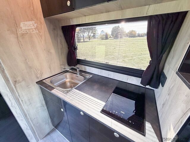 Dyrfrakter Iveco Daily Pferdetransporter 210 PS Automatik Klima