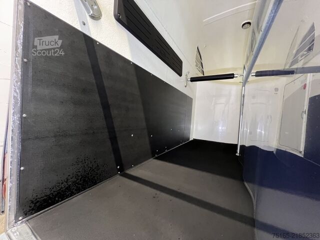 Paardentransportaanhanger Böckmann Big Master WCF ArtLine Sonder Pferdeanhänger
