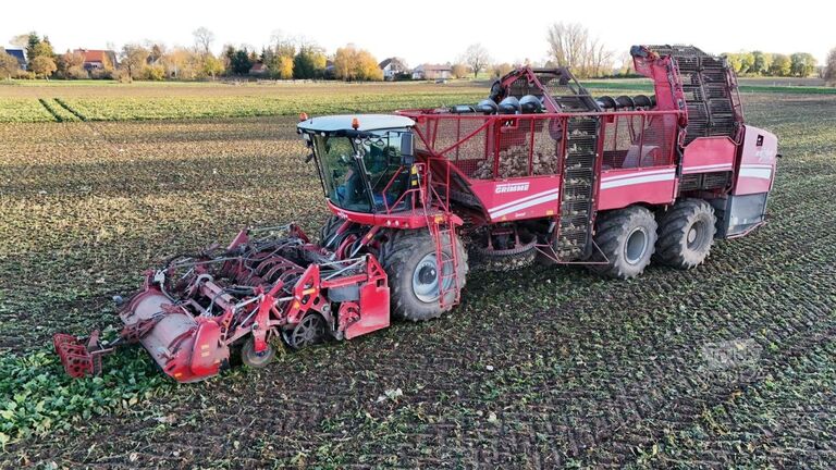Technologia buraczana Grimme Rexor 630