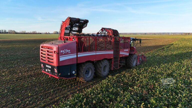Technologia buraczana Grimme Rexor 630