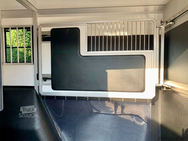 Camion pentru transport cai AKX DOUBLE CABIN RENAULT MASTER STALLION LAYOUT