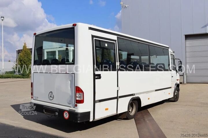Minibus Mercedes Vario Joost