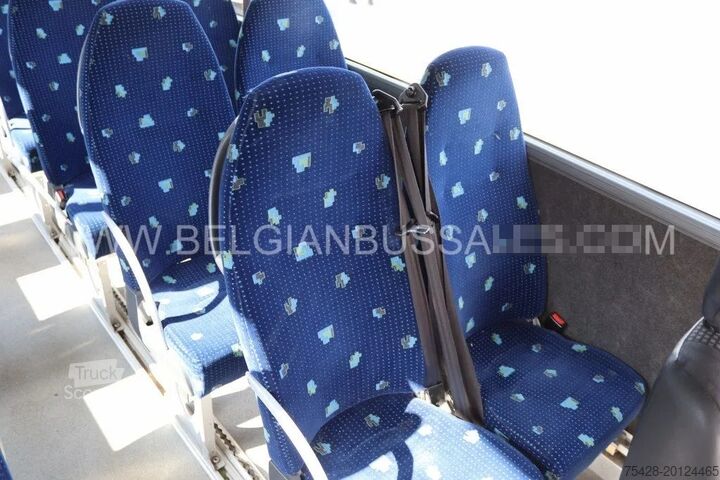 Minibus Mercedes Vario Joost