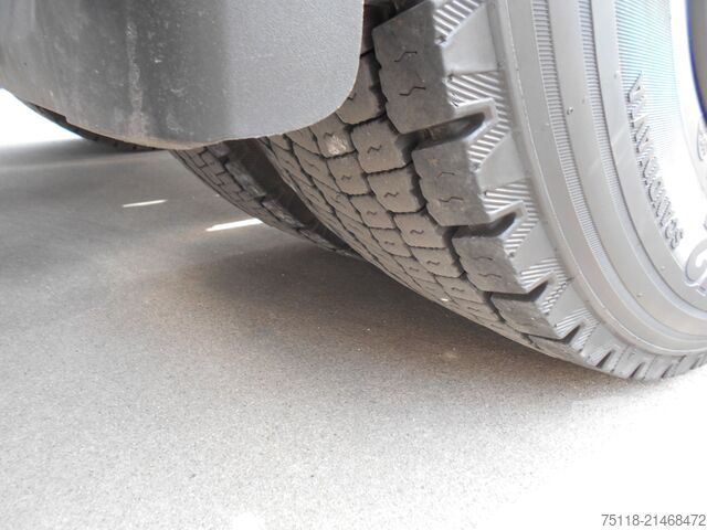 Standaard trekker DAF XG 480