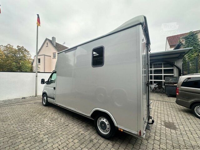 Viehtransporter Renault Master 1-2 Pferdetransporter