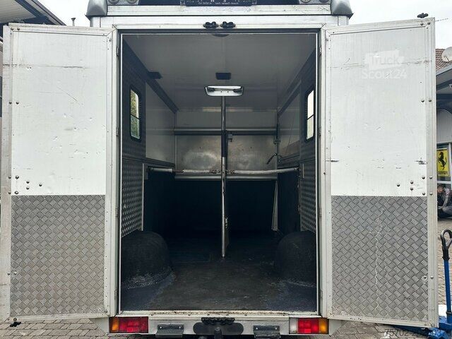 Viehtransporter Renault Master 1-2 Pferdetransporter