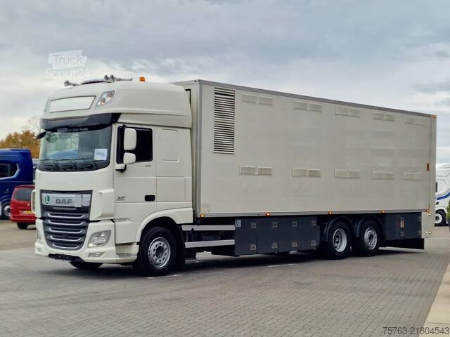 Transport de bétail DAF XF 440 SuperSpaceCab 6x2*4 - 2 deck Closed Live...