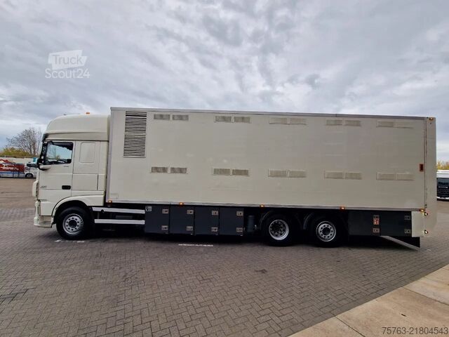 Transport de bétail DAF XF 440 SuperSpaceCab 6x2*4 - 2 deck Closed Live...