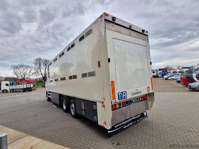 Transport de bétail DAF XF 440 SuperSpaceCab 6x2*4 - 2 deck Closed Live...