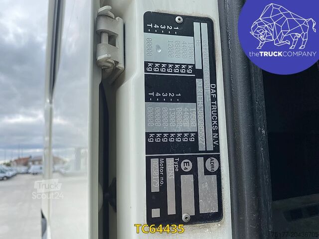 Padrão-SZM DAF XF 105 460