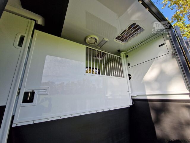 Paarden transport Renault Master MTM S3 EXCLUSIVE ! Nieuw model paardenwa...