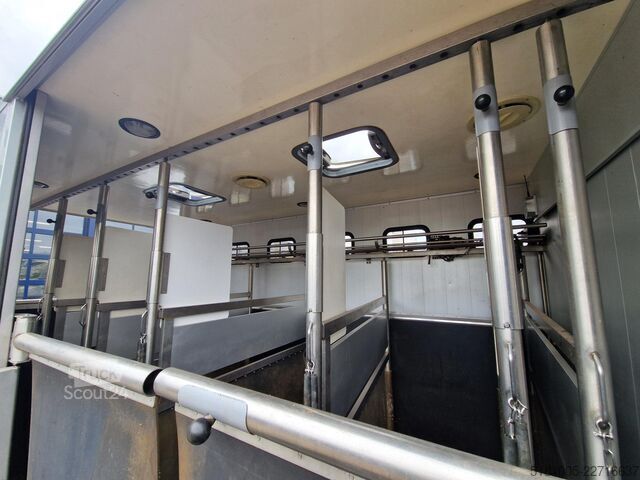 Transport de chevaux Scania P94 Roelofsen 5paards paardenvrachtwagen met li...