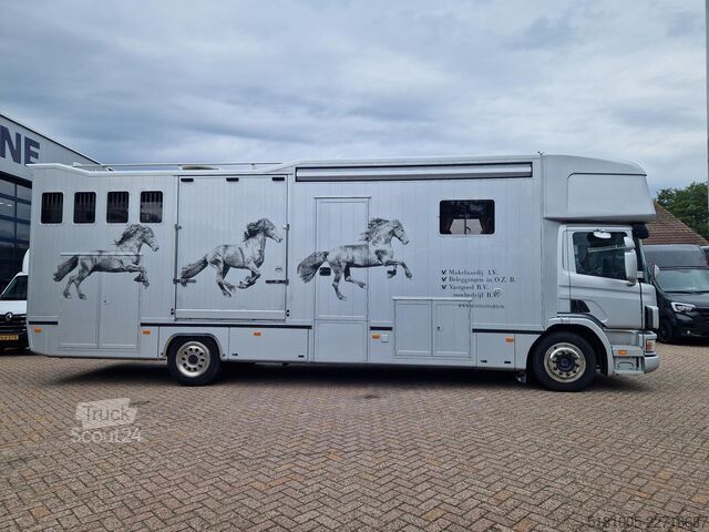 Transport de chevaux Scania P94 Roelofsen 5paards paardenvrachtwagen met li...