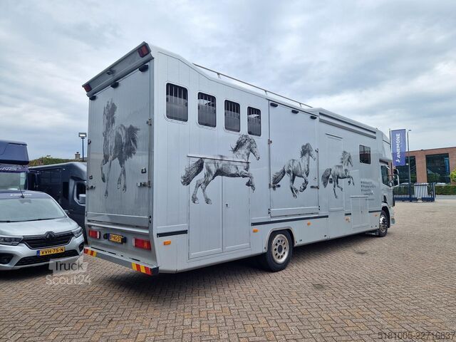 Transport de chevaux Scania P94 Roelofsen 5paards paardenvrachtwagen met li...