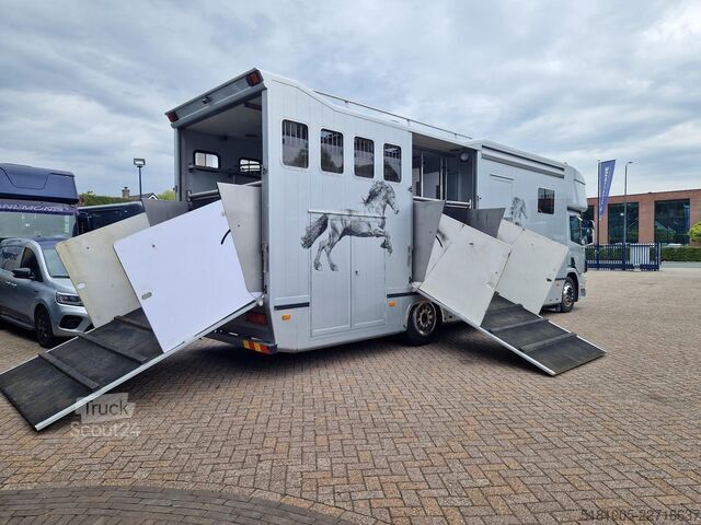Transport de chevaux Scania P94 Roelofsen 5paards paardenvrachtwagen met li...