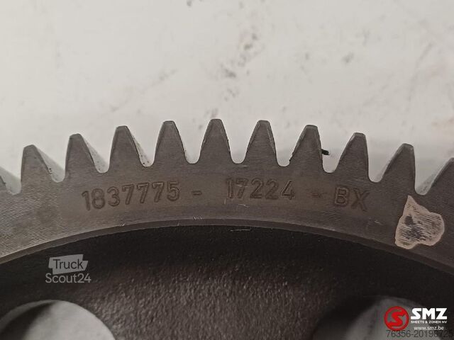 Albero a camme Daf Occ nokkenastandwiel MX13 DAF