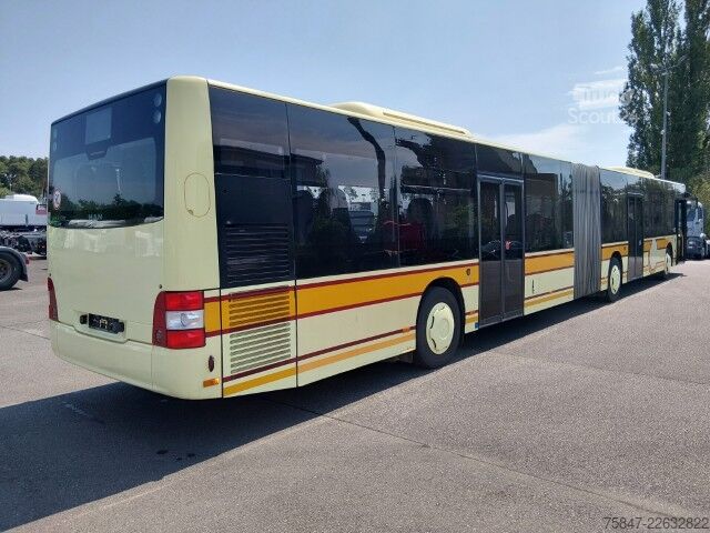 зчленований автобус MAN Lion´s City Gelenkbus Klima
