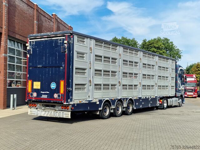 Přeprava dobytka Pezzaioli + Daf XF - 3/4 deck livestock - 134.8m2 - Water...