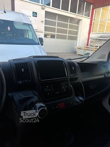 Furgone a tetto alto FIAT DUCATO