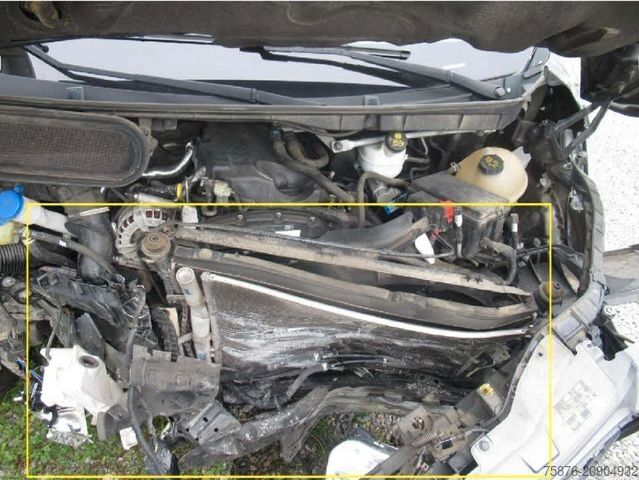 Minibus FORD Transit