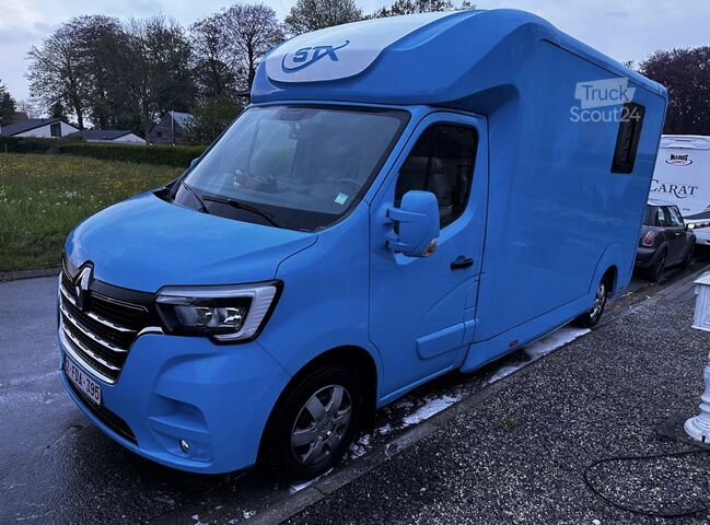 Châssis avec cabine Renault Master PAARDENWAGEN | HORSETRUCK | STX | STALLI...