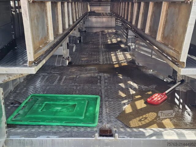 Veetransport Pezzaioli Livestock 5 deck - Water & Ventilation - Loafli...