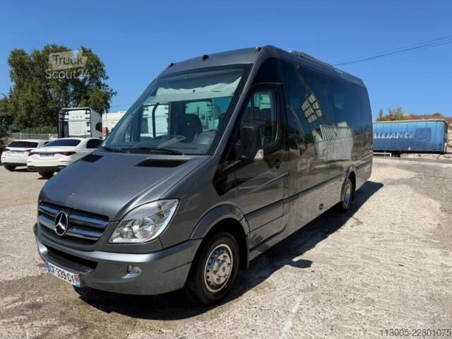 Minibus Mercedes-Benz Sprinter 519 CDI