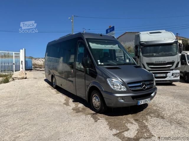 Minibus Mercedes-Benz Sprinter 519 CDI