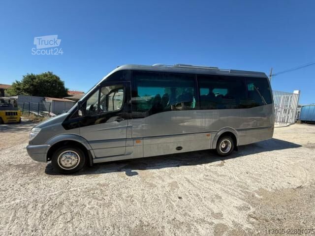 Minibus Mercedes-Benz Sprinter 519 CDI