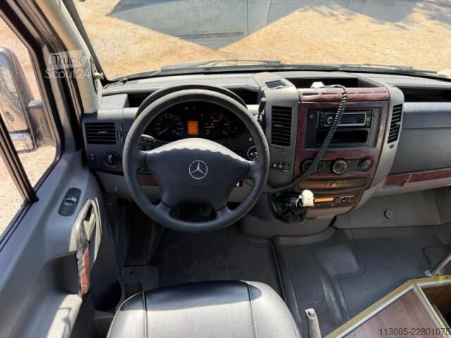 Minibus Mercedes-Benz Sprinter 519 CDI