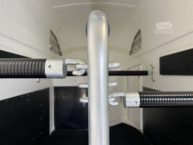 Atrelado de transporte de cavalos Böckmann Big Master WCF Sonder Pferdeanhänger