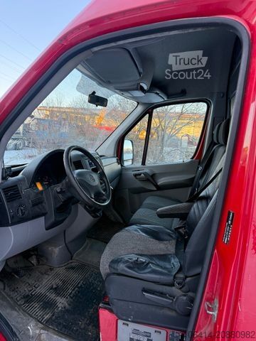 Minibús MERCEDES-BENZ Sprinter II Kasten 313 CDI