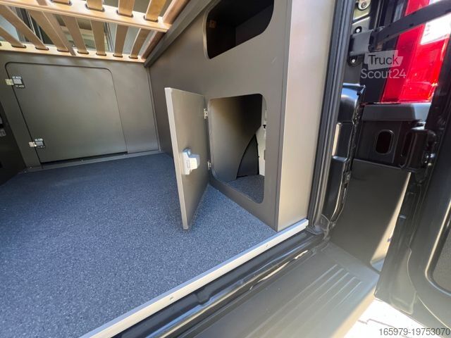 Kastenwagen Wohnmobil / Campervan BRAVIA