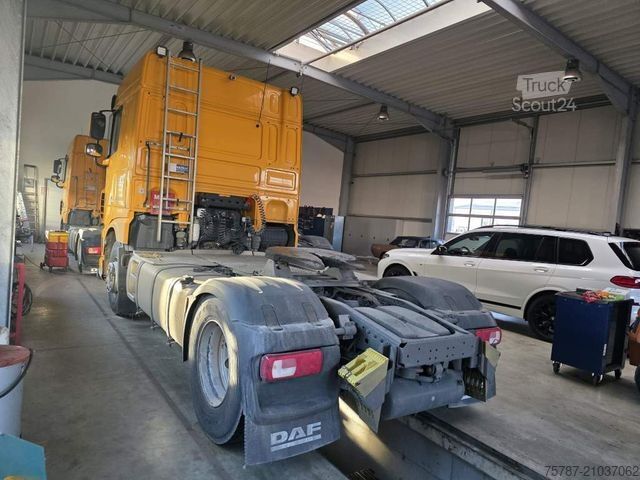 Tracteur routier standard DAF XF 480 SC, ZF Intarder, Kühlschrank