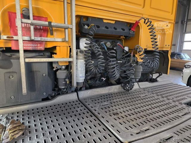 Tracteur routier standard DAF XF 480 SC, ZF Intarder, Kühlschrank
