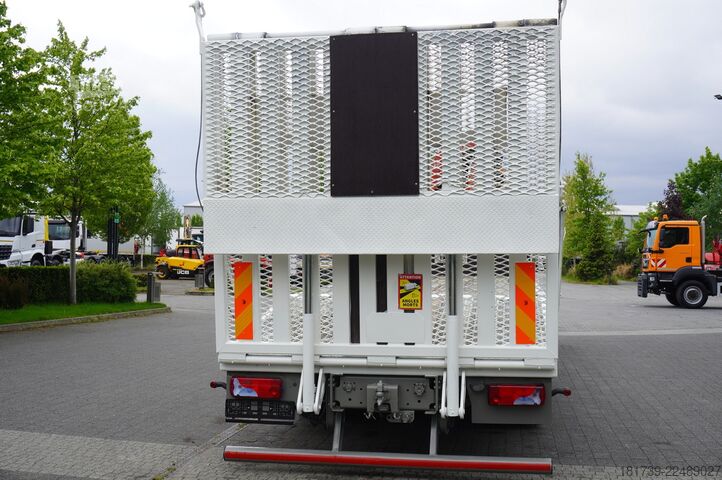 Platforma MAN MAN TGS 35.360 8×2 / HDS FASSI F165A.2.2