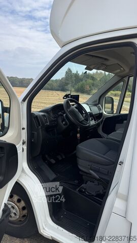 Véhicule utilitaire Citroën Bloomfields 2 Pferdetransporter 149t KM