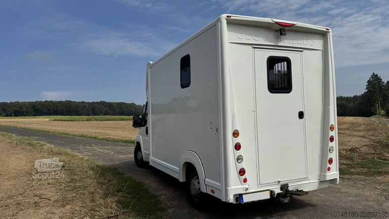 Véhicule utilitaire Citroën Bloomfields 2 Pferdetransporter 149t KM