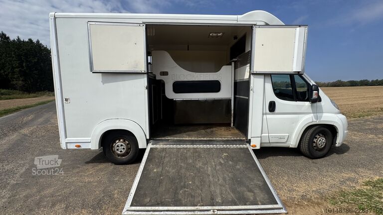 Véhicule utilitaire Citroën Bloomfields 2 Pferdetransporter 149t KM