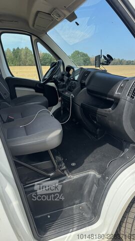 Véhicule utilitaire Citroën Bloomfields 2 Pferdetransporter 149t KM