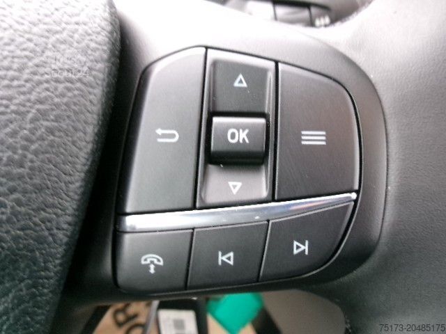 Furgonetka pick-up FORD Transit 350L5 Trend DoKa Pritsche Stndhz AHK Kam