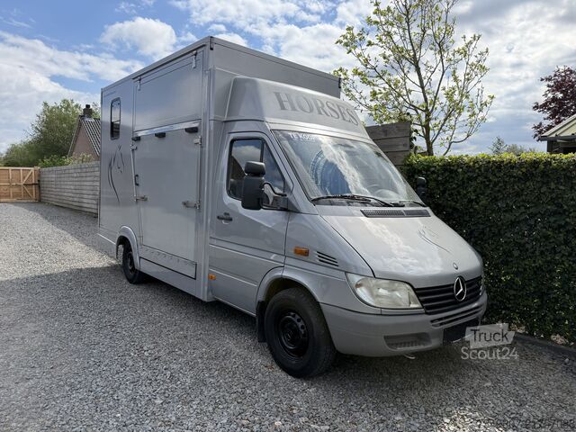 Transport de chevaux Mercedes-Benz Sprinter | HORSETRUCK | TVW | CLASSIC 3XL | 200...
