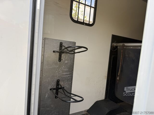 Transport de chevaux Mercedes-Benz Sprinter | HORSETRUCK | TVW | CLASSIC 3XL | 200...