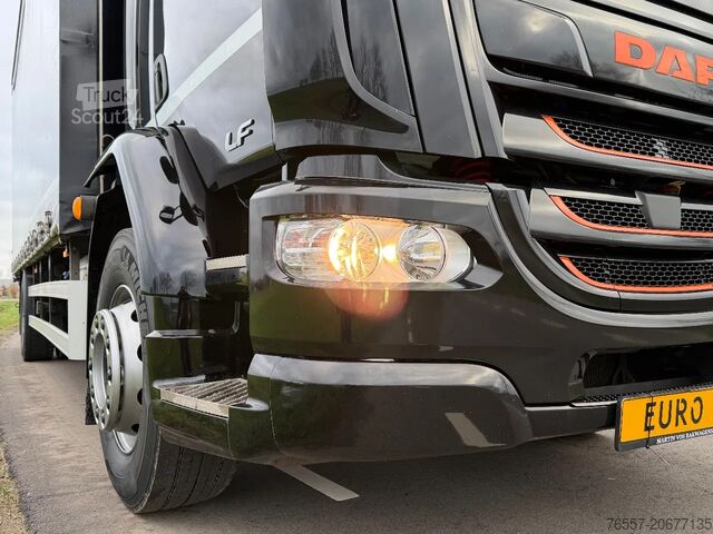Schiebeplane DAF CF 320 LF320.19. EURO6. 2021. 760x248x270