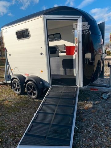 Prikolica za prevoz konj BÖCKMANN Portax K, seitl. Entladeklappe incl. Video